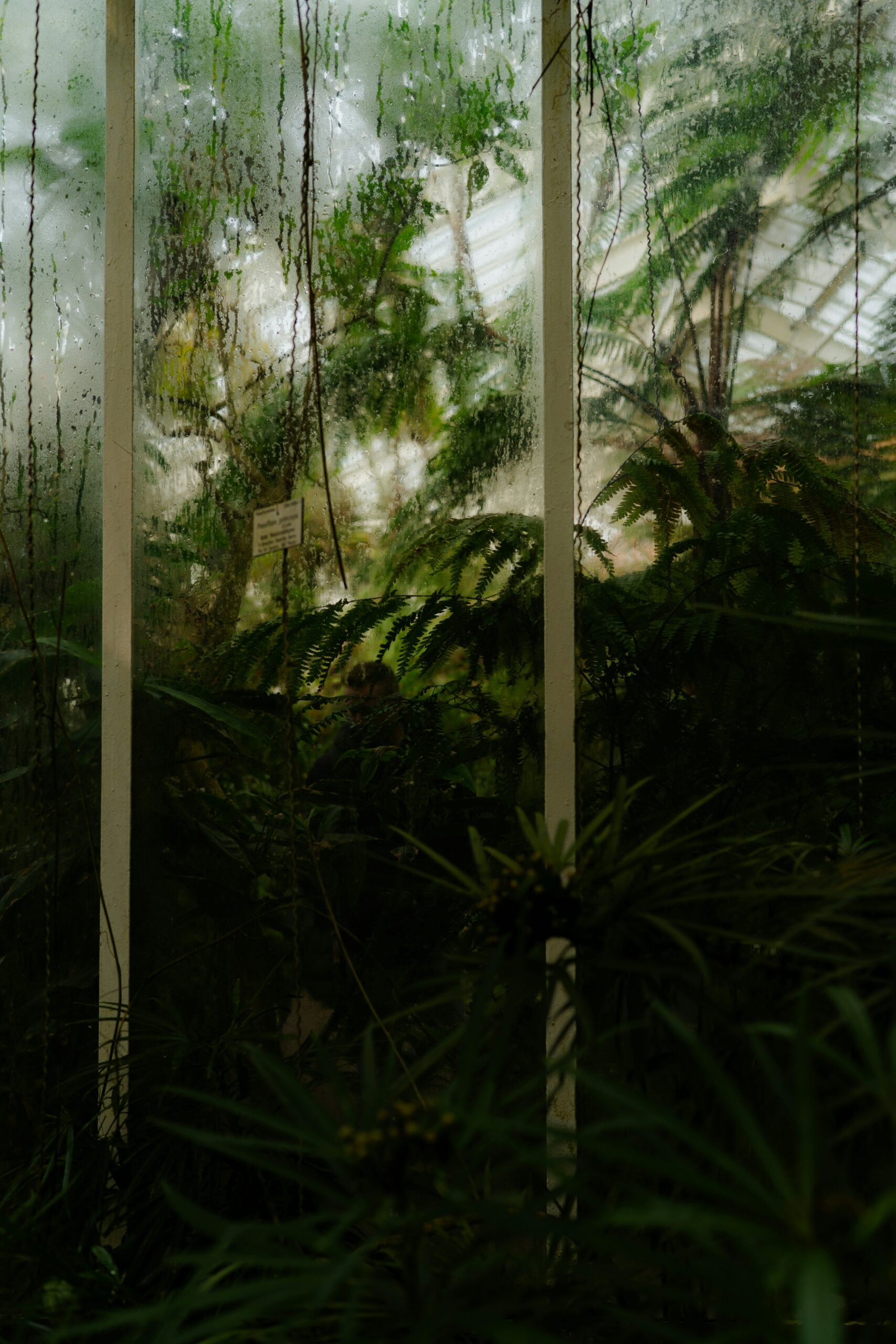 emanuel-haas-O1POsBhZ8zU-unsplash Le Mans médiation